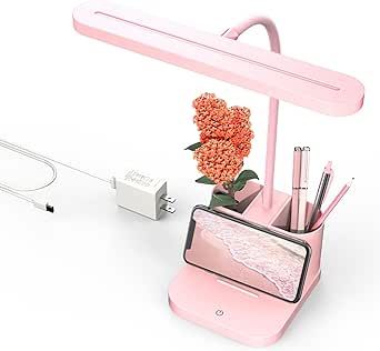 AXX Pink Desk Lamp for Home Office, Cute Desk Lamps for Bedrooms, Kawaii, Dimmable LED, Flexible Gooseneck, Pen Holder, Touch Control, College Dorm Room Essentials for Teen Girls Kids