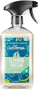 Aunt Fannie's All Purpose Cleaning Vinegar, Multisurface Spray Cleaner, 16.9 Ounces, Eucalyptus Scent (Pack of 1)