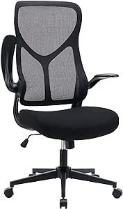 Office Chair, Ergonomic Desk Chair Computer Chair High Back Mesh Chair, Executive Home Office Chair with Backrest, Flip-up Armrests, Lumbar Support, for Home Office